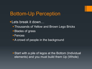 Bottom-Up Perception 
Lets break it down… 
Thousands of Yellow and Brown Lego Bricks 
 Blades of grass 
Fences 
A crowd of people in the background 
 Start with a pile of legos at the Bottom (Individual 
elements) and you must build them Up (Whole) 
 