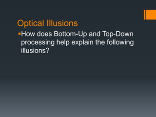 Optical Illusions 
How does Bottom-Up and Top-Down 
processing help explain the following 
illusions? 
 