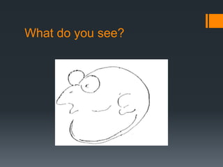 What do you see? 
 