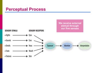 Perceptual Process


                     We receive external
                      stimuli through
                      ...