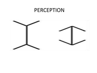PERCEPTION
 