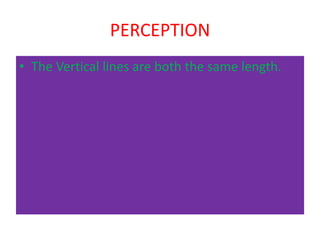 PERCEPTION
• The Vertical lines are both the same length.
 