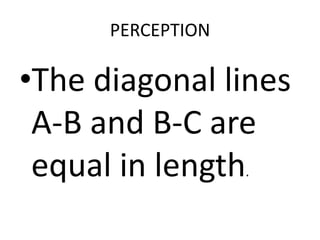PERCEPTION

•The diagonal lines
 A-B and B-C are
 equal in length.
 