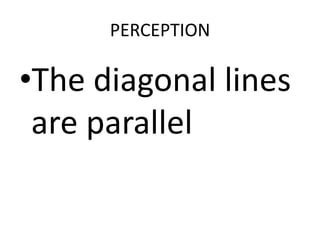 PERCEPTION

•The diagonal lines
 are parallel
 