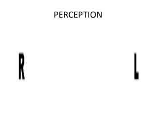PERCEPTION
 