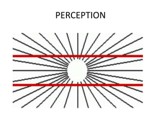 PERCEPTION
 