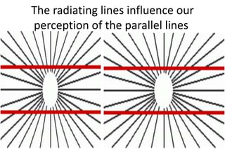 The radiating lines influence our
perception of the parallel lines
 