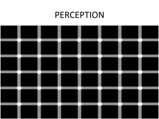 PERCEPTION
 