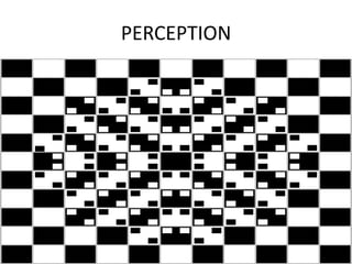 PERCEPTION
 