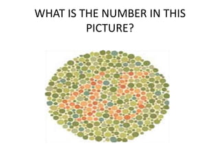 WHAT IS THE NUMBER IN THIS
         PICTURE?
 