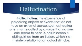 Object Hallucination Example Perception | PPTX