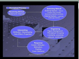 Perception presentation | PPTX