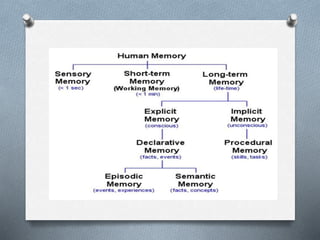 Perception,memory and attitude presentation | PPT