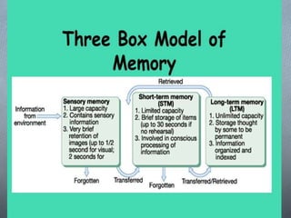 Perception,memory and attitude presentation | PPTX