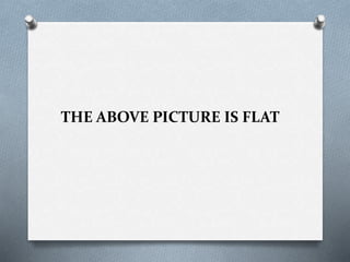 THE ABOVE PICTURE IS FLAT
 