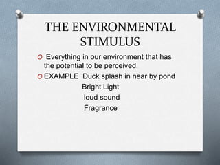 THE ENVIRONMENTAL
STIMULUS
O Everything in our environment that has
the potential to be perceived.
O EXAMPLE Duck splash in near by pond
Bright Light
loud sound
Fragrance
 