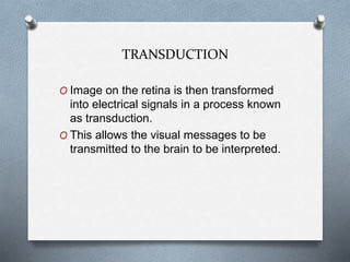 TRANSDUCTION
O Image on the retina is then transformed
into electrical signals in a process known
as transduction.
O This allows the visual messages to be
transmitted to the brain to be interpreted.
 