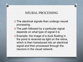 NEURAL PROCESSING
O The electrical signals then undergo neural
processing .
O The path followed by a particular signal
depends on what type of signal it is
O Example- the image of a duck floating in
the pond is received as light on the retina,
which is then transduced into an electrical
signal and then processed through the
neurons in the visual network.
 