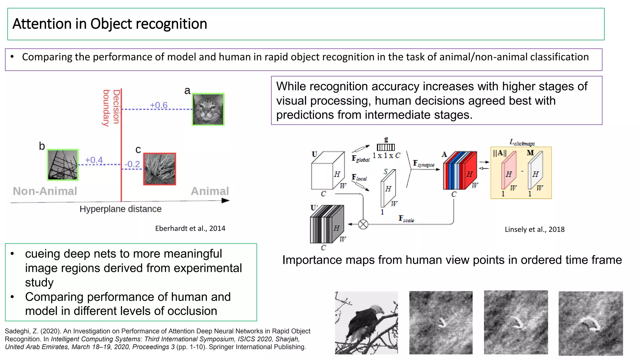 Attention in Object recognition
• Comparing the performance of model and human in rapid object recognition in the task of animal/non-animal classification
Linsely et al., 2018
Eberhardt et al., 2014
Importance maps from human view points in ordered time frame
While recognition accuracy increases with higher stages of
visual processing, human decisions agreed best with
predictions from intermediate stages.
• cueing deep nets to more meaningful
image regions derived from experimental
study
• Comparing performance of human and
model in different levels of occlusion
10
Sadeghi, Z. (2020). An Investigation on Performance of Attention Deep Neural Networks in Rapid Object
Recognition. In Intelligent Computing Systems: Third International Symposium, ISICS 2020, Sharjah,
United Arab Emirates, March 18–19, 2020, Proceedings 3 (pp. 1-10). Springer International Publishing.
 