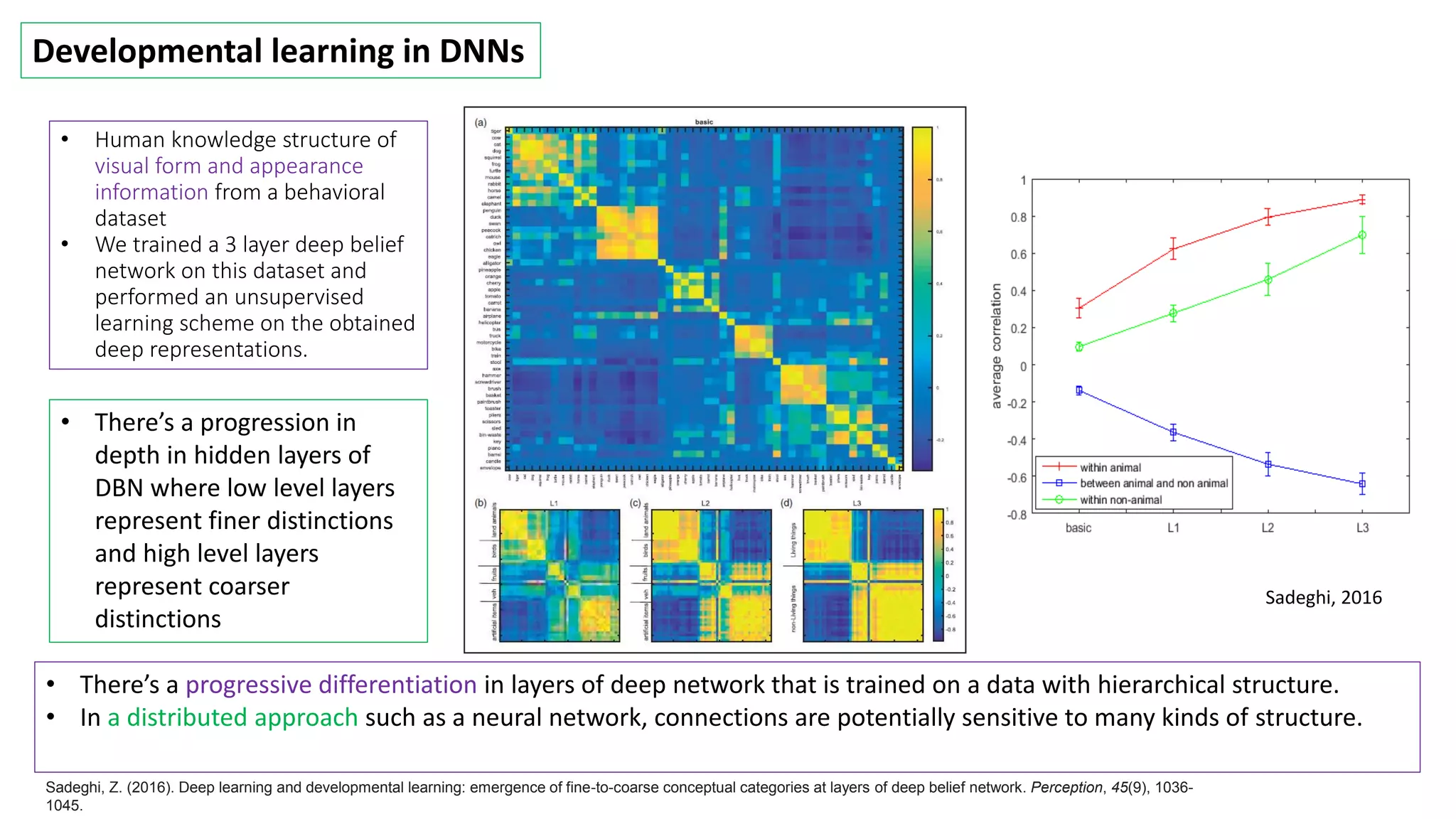Sadeghi, 2016
• Human knowledge structure of
visual form and appearance
information from a behavioral
dataset
• We trained a 3 layer deep belief
network on this dataset and
performed an unsupervised
learning scheme on the obtained
deep representations.
• There’s a progressive differentiation in layers of deep network that is trained on a data with hierarchical structure.
• In a distributed approach such as a neural network, connections are potentially sensitive to many kinds of structure.
Developmental learning in DNNs
• There’s a progression in
depth in hidden layers of
DBN where low level layers
represent finer distinctions
and high level layers
represent coarser
distinctions
Sadeghi, Z. (2016). Deep learning and developmental learning: emergence of fine-to-coarse conceptual categories at layers of deep belief network. Perception, 45(9), 1036-
1045.
 