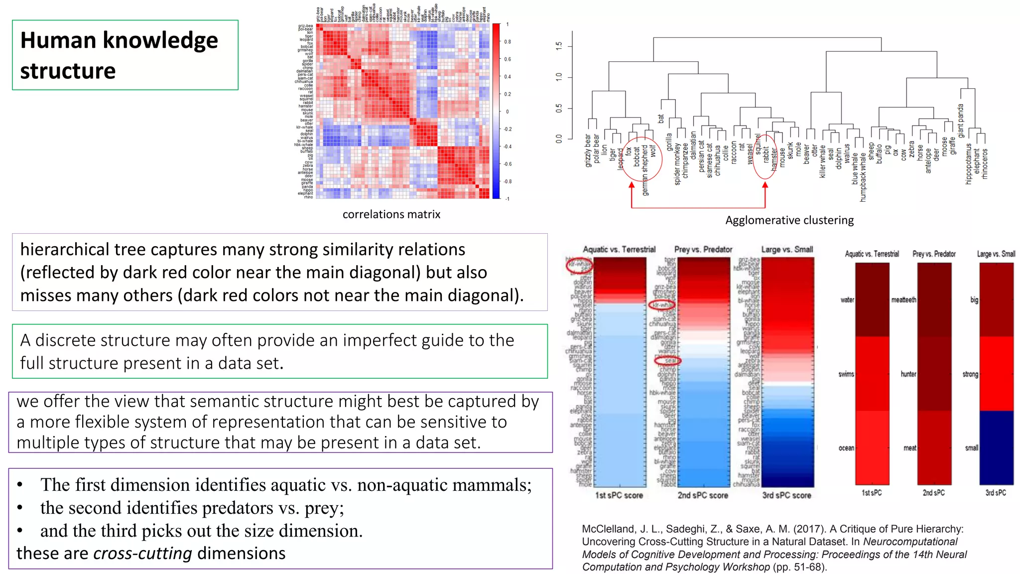 correlations matrix
hierarchical tree captures many strong similarity relations
(reflected by dark red color near the main diagonal) but also
misses many others (dark red colors not near the main diagonal).
Human knowledge
structure
Agglomerative clustering
A discrete structure may often provide an imperfect guide to the
full structure present in a data set.
we offer the view that semantic structure might best be captured by
a more flexible system of representation that can be sensitive to
multiple types of structure that may be present in a data set.
• The first dimension identifies aquatic vs. non-aquatic mammals;
• the second identifies predators vs. prey;
• and the third picks out the size dimension.
these are cross-cutting dimensions
McClelland, J. L., Sadeghi, Z., & Saxe, A. M. (2017). A Critique of Pure Hierarchy:
Uncovering Cross-Cutting Structure in a Natural Dataset. In Neurocomputational
Models of Cognitive Development and Processing: Proceedings of the 14th Neural
Computation and Psychology Workshop (pp. 51-68).
 