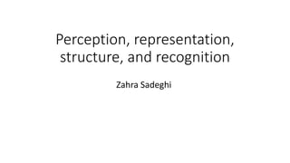 Perception, representation,
structure, and recognition
Zahra Sadeghi
 