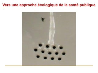 Vers une approche écologique de la santé publique
 