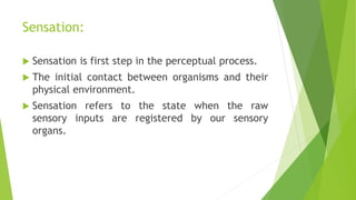 Perceptions | PPTX