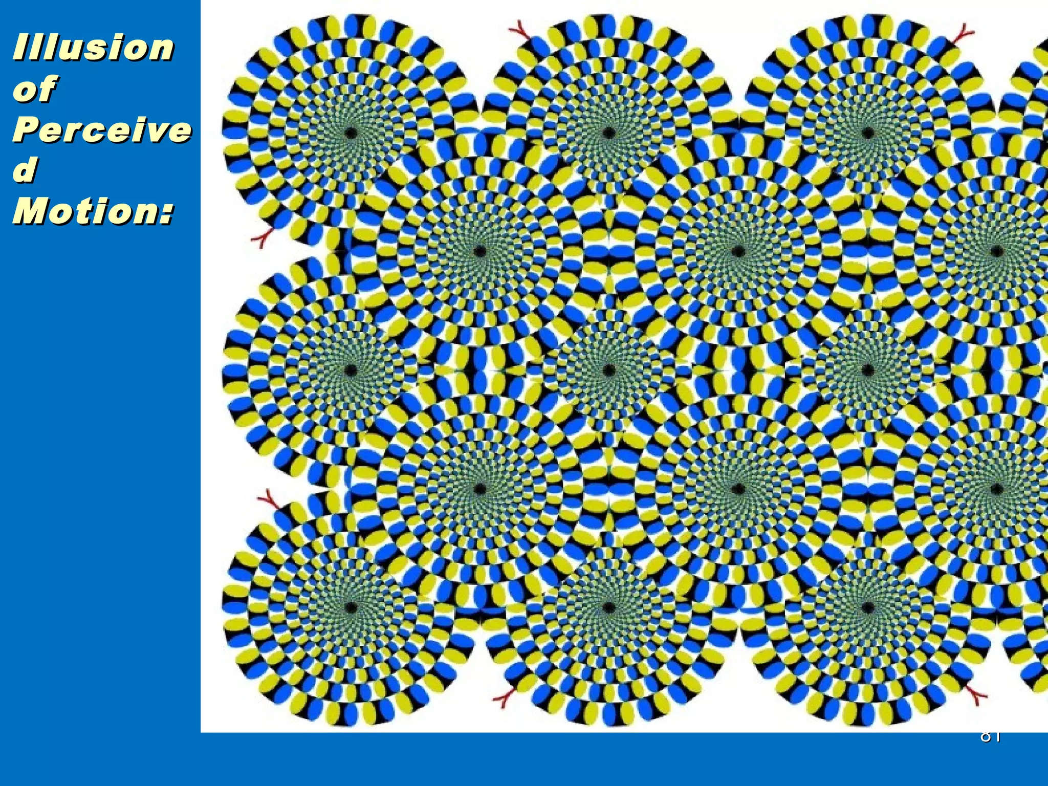 8181
IllusionIllusion
ofof
PerceivePerceive
dd
Motion:Motion:
 