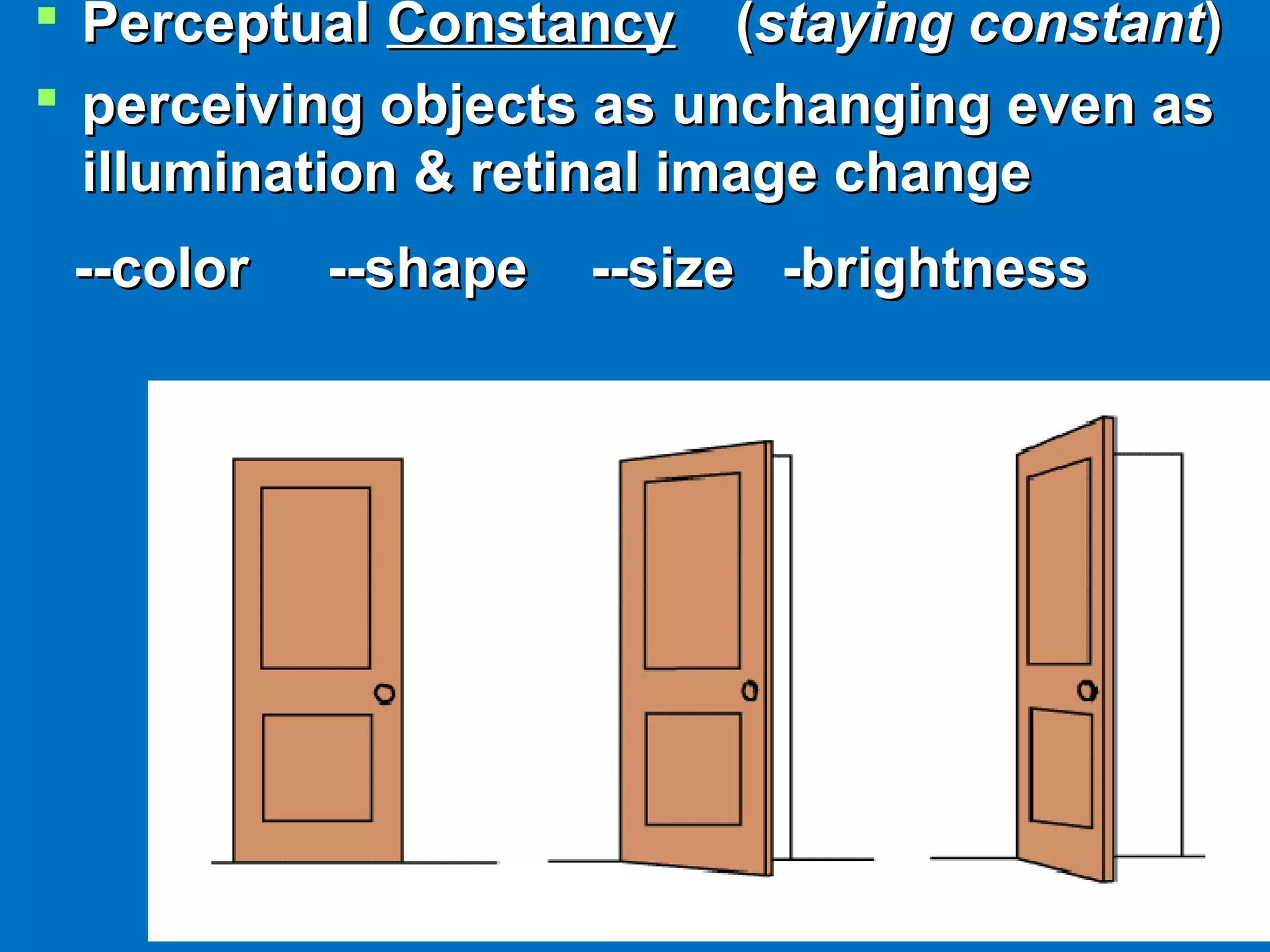 8383
 PerceptualPerceptual ConstancyConstancy ((staying constantstaying constant))
 perceiving objects as unchanging even asperceiving objects as unchanging even as
illumination & retinal image changeillumination & retinal image change
--color --shape --size -brightness--color --shape --size -brightness
 