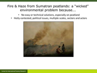 Stakeholder perceptions of fire and haze: early results 