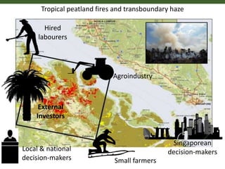 Stakeholder perceptions of fire and haze: early results 