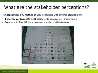 Stakeholder perceptions of fire and haze: early results 