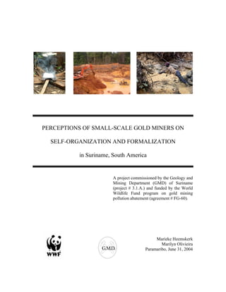 PERCEPTIONS OF SMALL-SCALE GOLD MINERS ON
SELF-ORGANIZATION AND FORMALIZATION
in Suriname, South America
A project commissioned by the Geology and
Mining Department (GMD) of Suriname
(project # 3.1.A.) and funded by the World
Wildlife Fund program on gold mining
pollution abatement (agreement # FG-60).
G.M.D.
Marieke Heemskerk
Marilyn Olivieira
Paramaribo, June 31, 2004
 