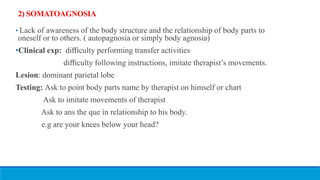 2) SOMATOAGNOSIA
• Lack of awareness of the body structure and the relationship of body parts to
oneself or to others. ( autopagnosia or simply body agnosia)
•Clinical exp: diﬃculty performing transfer activities
diﬃculty following instructions, imitate therapist’s movements.
Lesion: dominant parietal lobe
Testing: Ask to point body parts name by therapist on himself or chart
Ask to imitate movements of therapist
Ask to ans the que in relationship to his body.
e.g are your knees below your head?
 