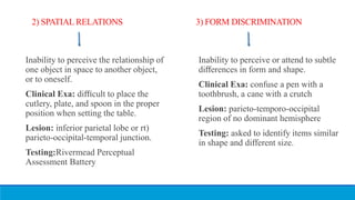 2) SPATIAL RELATIONS 3) FORM DISCRIMINATION
Inability to perceive the relationship of
one object in space to another object,
or to oneself.
Clinical Exa: diﬃcult to place the
cutlery, plate, and spoon in the proper
position when setting the table.
Lesion: inferior parietal lobe or rt)
parieto-occipital-temporal junction.
Testing:Rivermead Perceptual
Assessment Battery
Inability to perceive or attend to subtle
diﬀerences in form and shape.
Clinical Exa: confuse a pen with a
toothbrush, a cane with a crutch
Lesion: parieto-temporo-occipital
region of no dominant hemisphere
Testing: asked to identify items similar
in shape and different size.
 