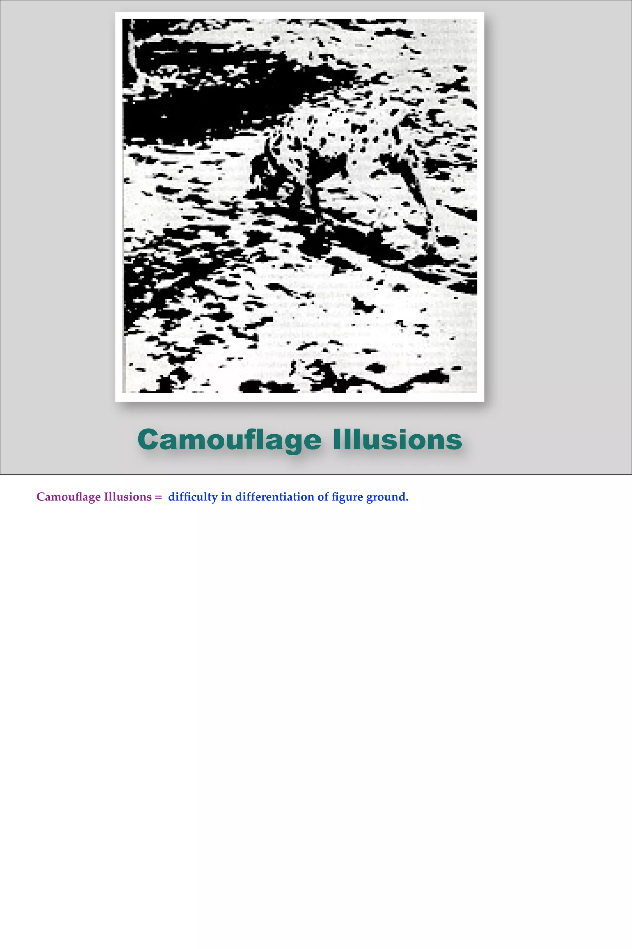 Camouflage Illusions
Camouﬂage Illusions = difﬁculty in differentiation of ﬁgure ground.
 