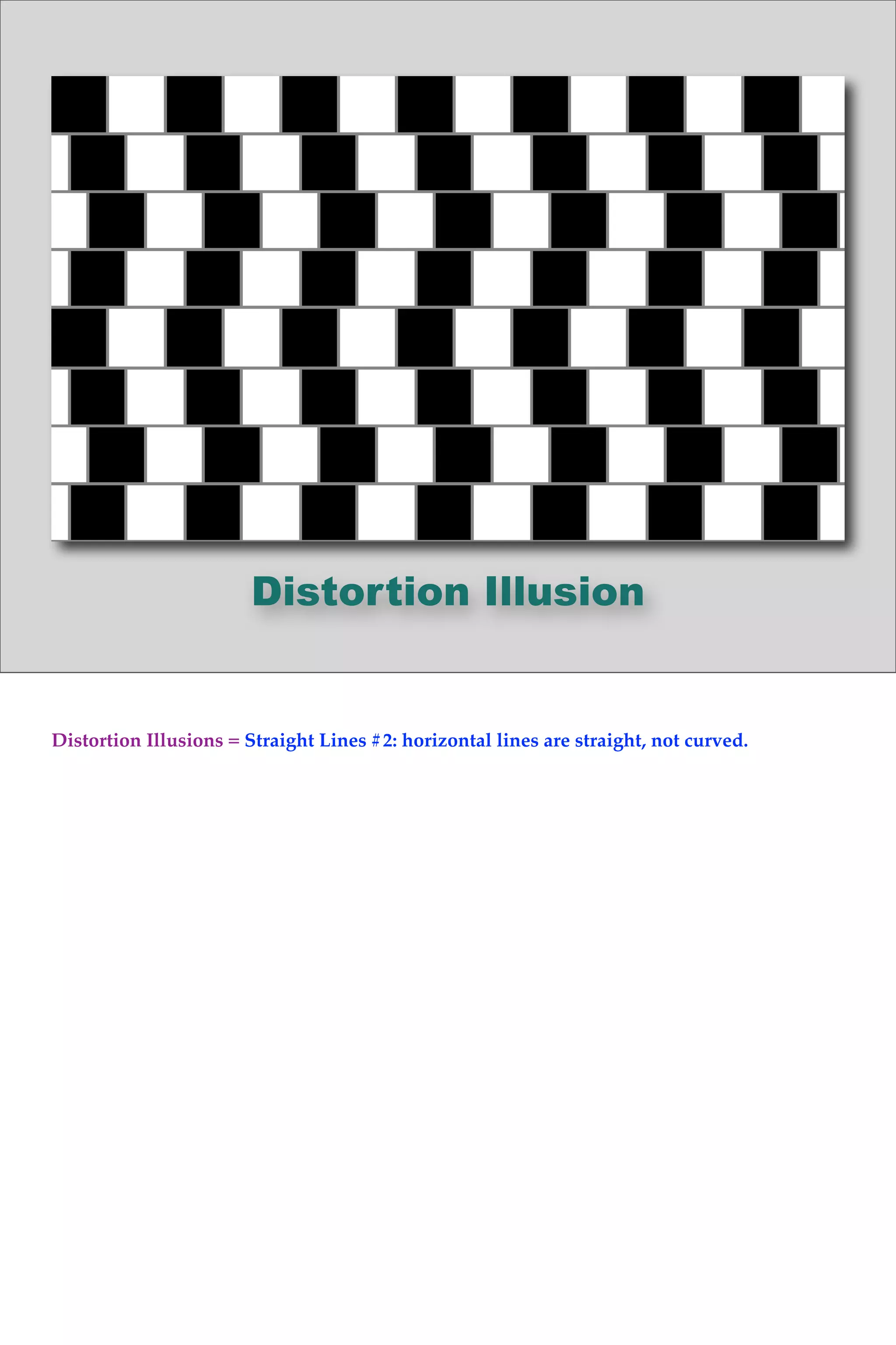 Distortion Illusion
Distortion Illusions = Straight Lines #2: horizontal lines are straight, not curved.
 