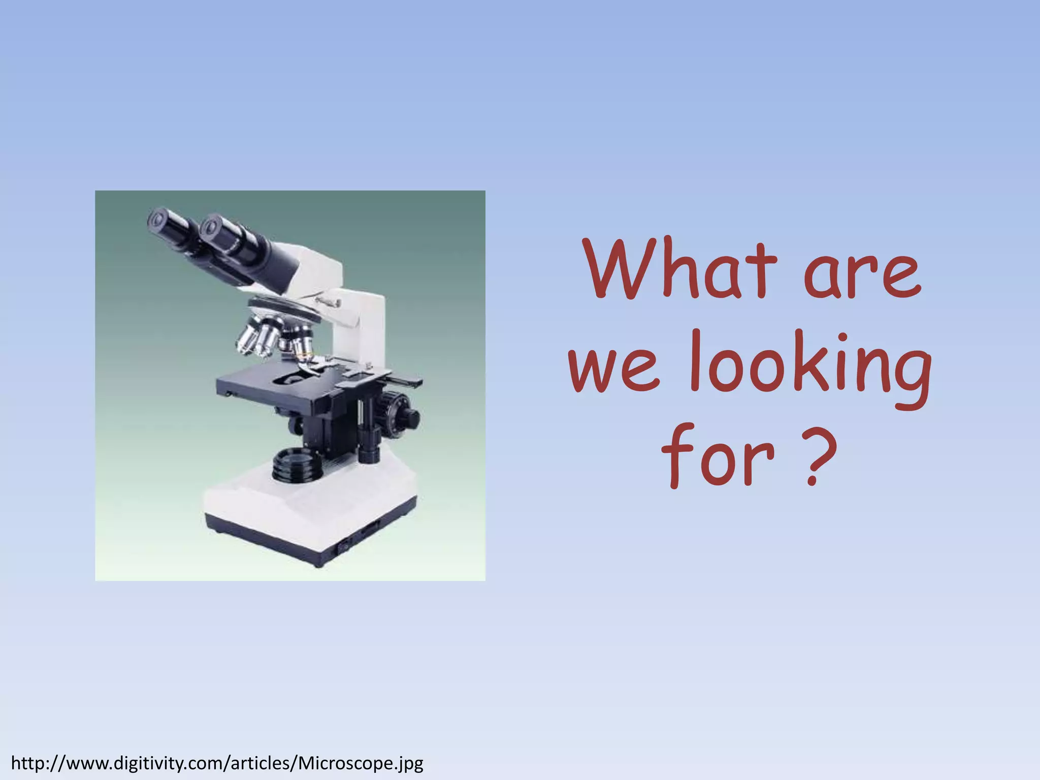 What are
                                                    we looking
                                                      for ?


http://www.digitivity.com/articles/Microscope.jpg
 