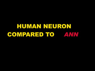 HUMAN NEURON COMPARED TO  ANN 