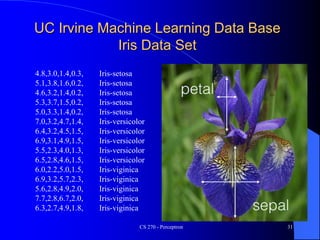 CS 270 - Perceptron 31
UC Irvine Machine Learning Data Base
Iris Data Set
4.8,3.0,1.4,0.3, Iris-setosa
5.1,3.8,1.6,0.2, Iris-setosa
4.6,3.2,1.4,0.2, Iris-setosa
5.3,3.7,1.5,0.2, Iris-setosa
5.0,3.3,1.4,0.2, Iris-setosa
7.0,3.2,4.7,1.4, Iris-versicolor
6.4,3.2,4.5,1.5, Iris-versicolor
6.9,3.1,4.9,1.5, Iris-versicolor
5.5,2.3,4.0,1.3, Iris-versicolor
6.5,2.8,4.6,1.5, Iris-versicolor
6.0,2.2,5.0,1.5, Iris-viginica
6.9,3.2,5.7,2.3, Iris-viginica
5.6,2.8,4.9,2.0, Iris-viginica
7.7,2.8,6.7,2.0, Iris-viginica
6.3,2.7,4.9,1.8, Iris-viginica
 