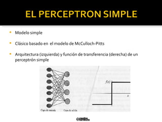 Modelo simple Clásico   basado  en  el mo delo de McCulloch-Pitts Arquitectura (izquierda) y función de transferencia (derecha) de un perceptrón simple 