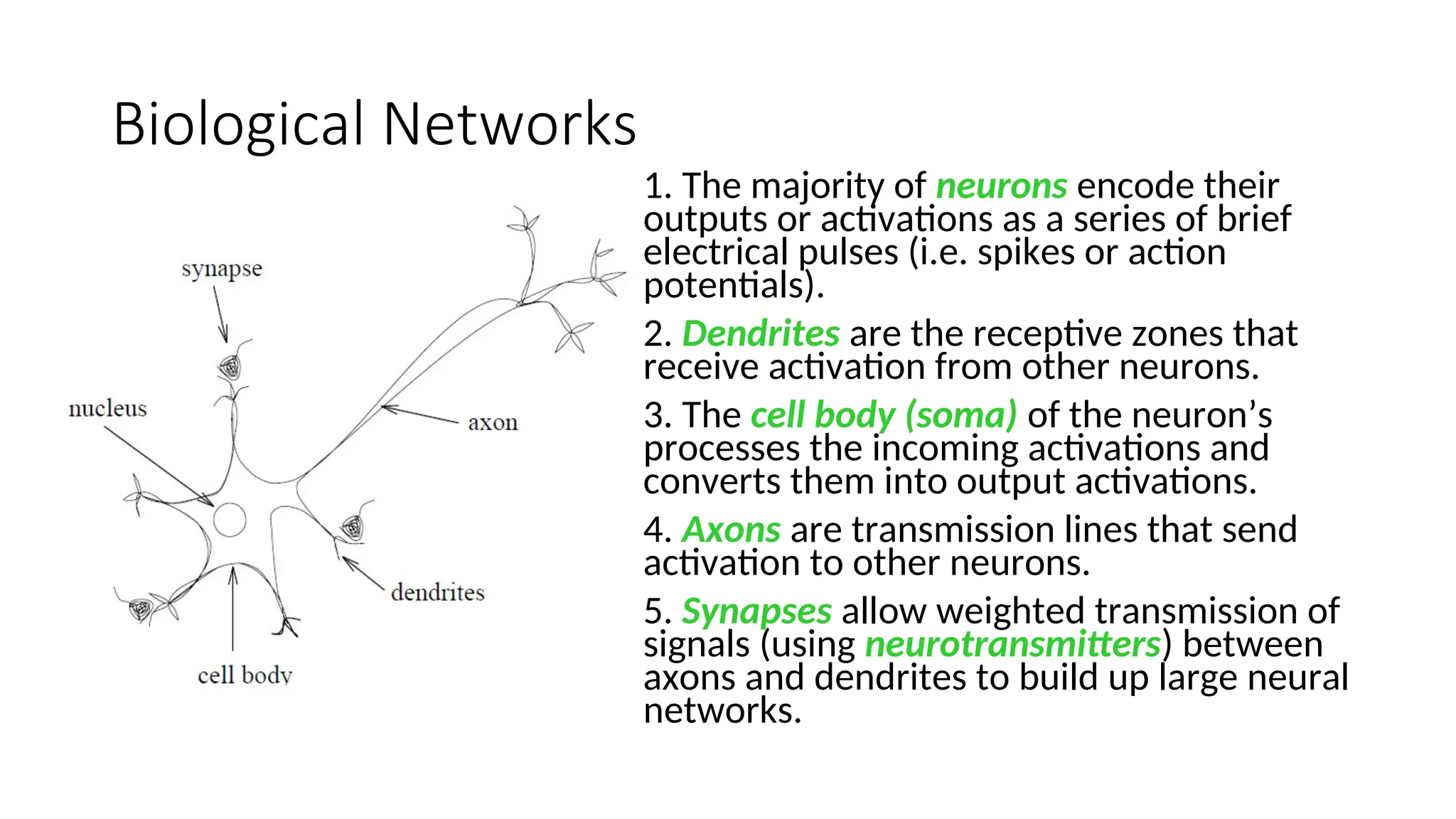 Biological Networks
1. The majority of neurons encode their
outputs or activations as a series of brief
electrical pulses (i.e. spikes or action
potentials).
2. Dendrites are the receptive zones that
receive activation from other neurons.
3. The cell body (soma) of the neuron’s
processes the incoming activations and
converts them into output activations.
4. Axons are transmission lines that send
activation to other neurons.
5. Synapses allow weighted transmission of
signals (using neurotransmitters) between
axons and dendrites to build up large neural
networks.
 
