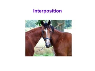 Interpose Picture Example perceptual%20organization%20modnule.pptx