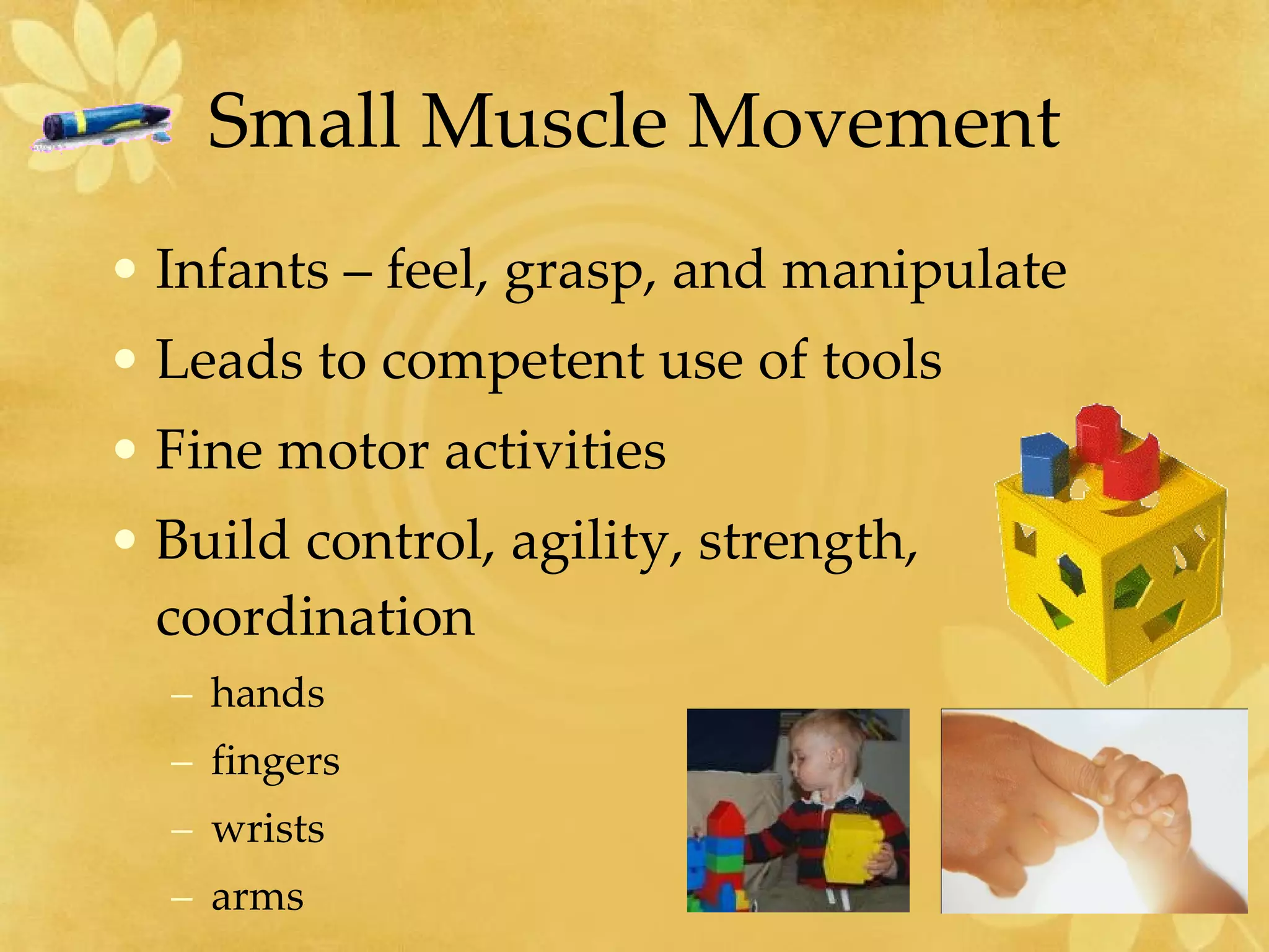 Small Muscle Movement Infants – feel, grasp, and manipulate Leads to competent use of tools Fine motor activities Build control, agility, strength, coordination  hands  fingers  wrists arms  