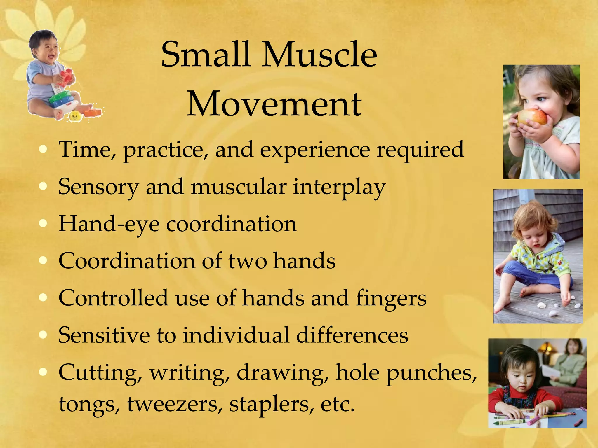 Small Muscle  Movement Time, practice, and experience required Sensory and muscular interplay Hand-eye coordination Coordination of two hands Controlled use of hands and fingers Sensitive to individual differences Cutting, writing, drawing, hole punches, tongs, tweezers, staplers, etc. 