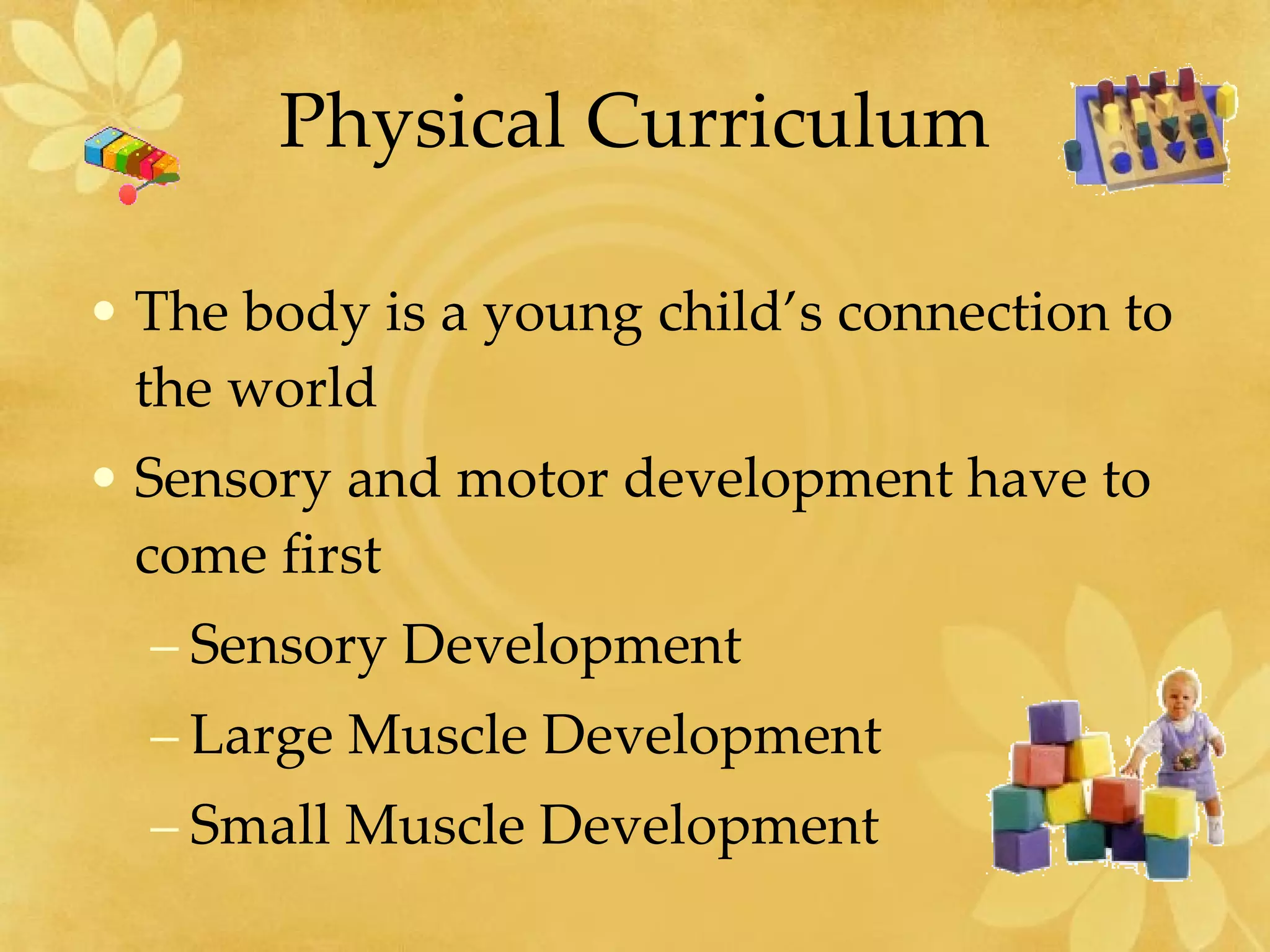 Physical Curriculum The body is a young child’s connection to the world Sensory and motor development have to come first Sensory Development Large Muscle Development Small Muscle Development 