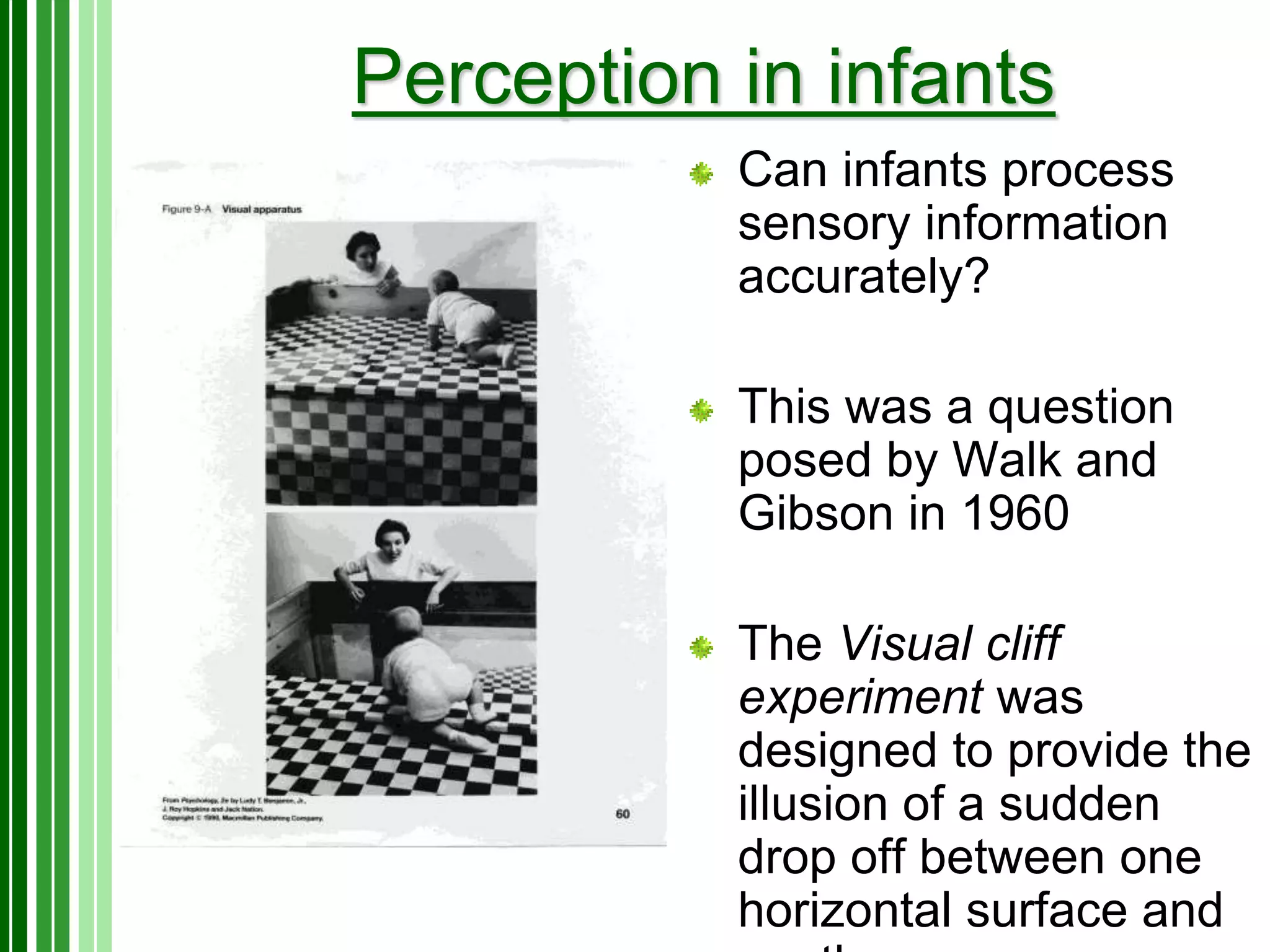 PerceptualDevelopment.pptx