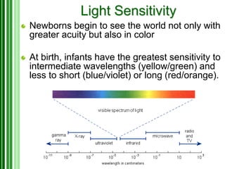PerceptualDevelopment.pptx