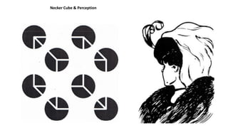 Necker Cube & Perception
 